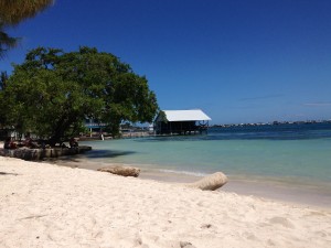 Public beach on Utila 