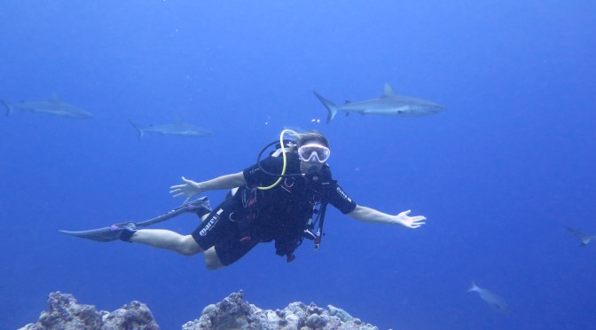SHARKS! Yap, Micronesia