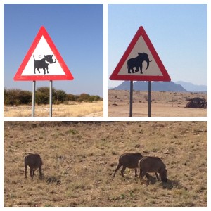 Namibia 